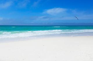 Calypso 3-406 - Paradise by the Pier - Panama City Beach - 8
