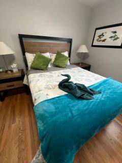 Fantastic 3BR Close to Botanical Gardens and Airport - 8