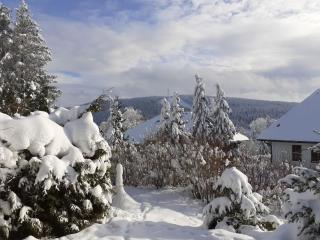 Holiday apartment with 2 bedrooms - Hahnenklee-Bockswiese - 1