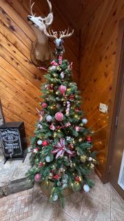 Family Fun Cozy Cabin - 9