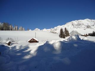 Pension-Greimelbacherhof - Ramsau am Dachstein - 4