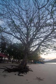 Camp Gili X - Gili Tangkong Island - - 1