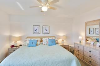 Amadeus 10 - St Pete Beach - 3