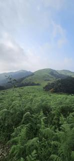 Malgudi Homestay - Someshwar - 1