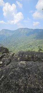 Malgudi Homestay - Someshwar - 2
