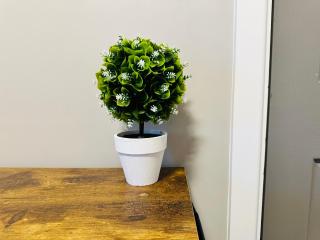 Comfort Suite in Manchester - 6