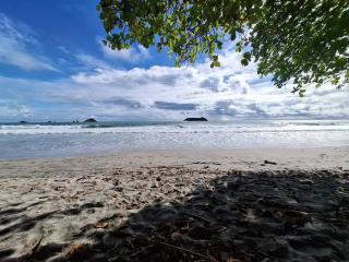 Forest Love - Quepos - 2