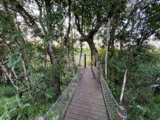 Apartamento 2 quartos, prox Outlet Campo Largo BR e Hospitais possui lava e seca - Campo Largo - 6