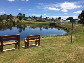 Waratah Waterfall Retreat Unit 1 Free Pay TV In Two Rooms Free WiFi - Waratah - 9