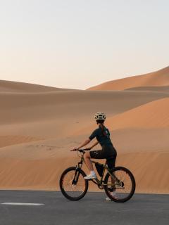 Liwa Nights ليالي ليوا - Liwa - 2