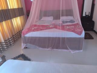 Nine Arch Araliya Homestay - Ella - 3