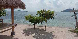 Alden Beach House - Sekotong - 7