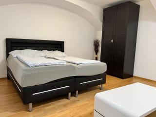 Stylish 1BR Apartment in a Central Location - Vienne - 0