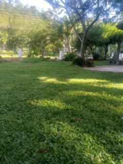 Lotus House - 8