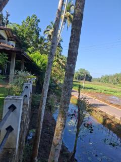 Lotus House - Galle - 2