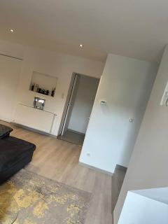 Appartement cosy Nancy Bonsecours - 4