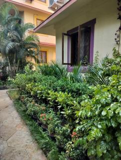 Angies's Gardenia - Goa - 9