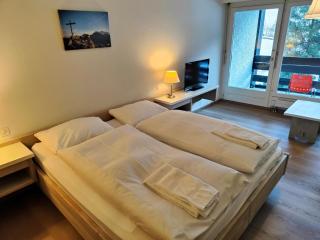 Hotel Säntis Lodge - Unterwasser - 4