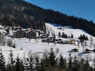 Sonnige ruhige Fewo Bergpanorama auf 1200m mit Süd Balkon - 4
