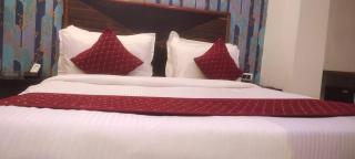 Hotel PLAZA International near Delhi airport - New Delhi - 8