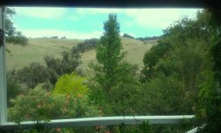 Brookvale House Balingup - 1