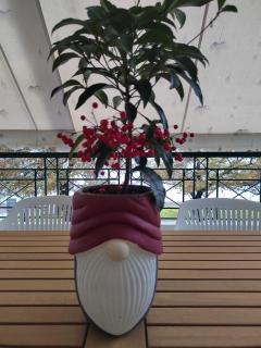 The cozy seaside apartment - 4