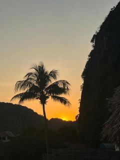 Tam Coc Golden Fields - Ninh Bình - 2