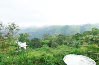 Vagamon misty Hills Resort - Vagamon - 6