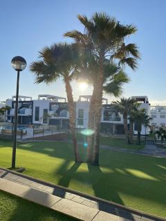 Punta Prima Oasis Beach Fase 9 - 8