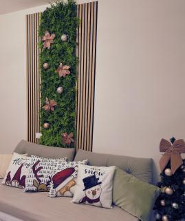 La casina in borgo - suite with terrace - Livorno - 8