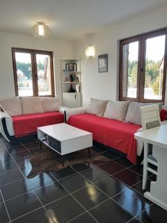 Tara Mountain House - Bajina Bašta - 4