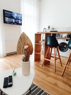 Fly Residence - Arad - 6