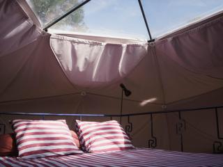Stay Classy - Domes - Otterlo - 1