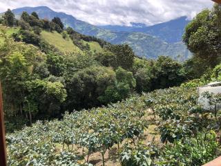 Hostería Las Orquídeas - Baños - 1