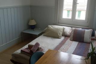 Einfache Wohnung 15 min vom Bahnhof - St. Gallen - 7