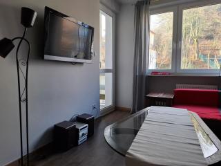 Suria Krynica - Krynica-Zdrój - 8