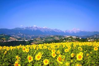 Characteristic restored farmhouse with 360 degree views - Montefino - 7