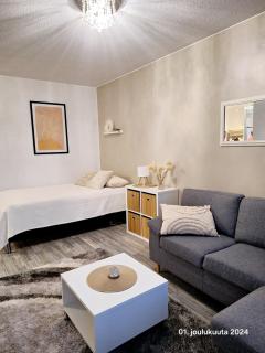 Tyylikäs kaksio keskustasta parkkipaikalla,wifi - 5