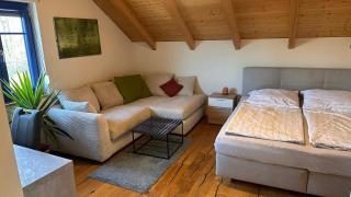 Ferienwohnung mit sonniger Dachterrasse am Pferdehof - Eichendorf - 1