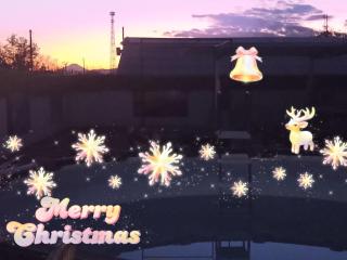 Cat Villa Kawajimamachi - 9