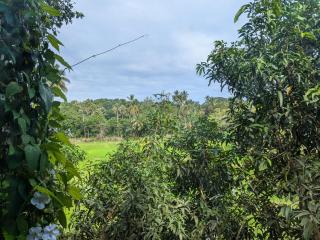 Nuwans Countryside Hideaway - Tangalle - 7