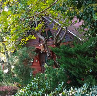 Apartament SECESJA - Przygodzice - 0