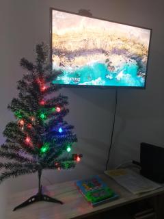 Apartamento no Centrinho da Praia dos Ingleses - 6