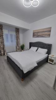 Cozy Apartment Pallady - Bucarest - 3