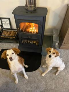 Muddy Boots Scarpa - 4