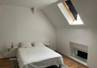 Le Wolf - 1 Chambre dans un T3 - 5mn tram du centre ville - 15mn tram Gare TGV Mulhouse - Wifi - Parking - Mulhouse - 5