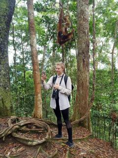 Sumatran OrangutanTRAILS - Bukit Lawang - 5