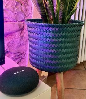 Residenza Borgo 9 - Collecchio - 5
