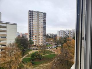 Le Reflet Gris - 1