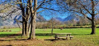 Gite Le Banc du Peyron au Champ des Cimes - - 8